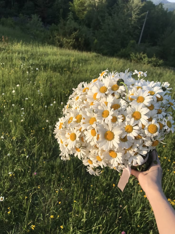 ☆☆moonlight♡♡ tweet media