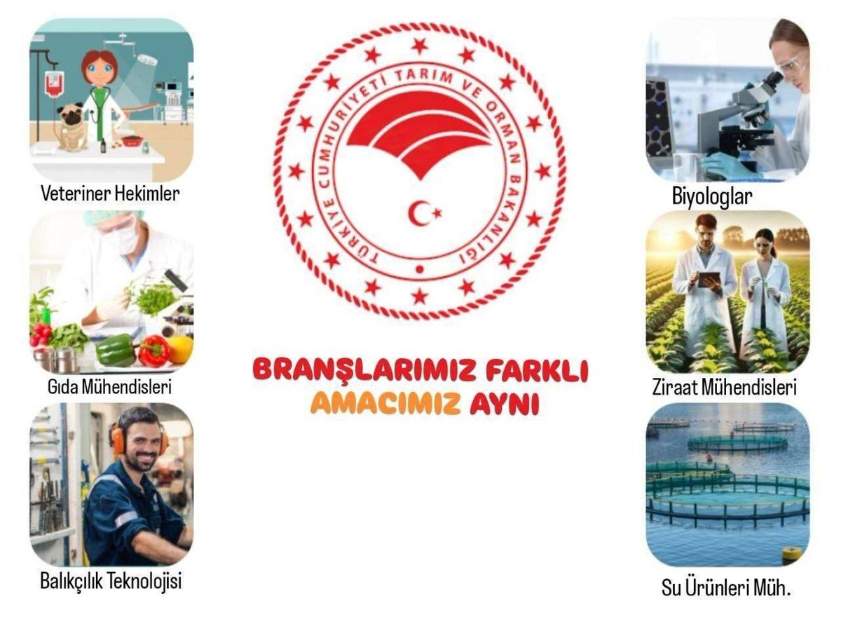 Safa tweet media