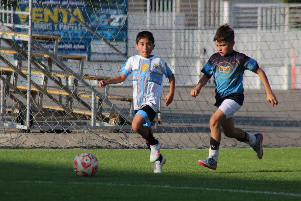 SuBiré Deportes tweet media