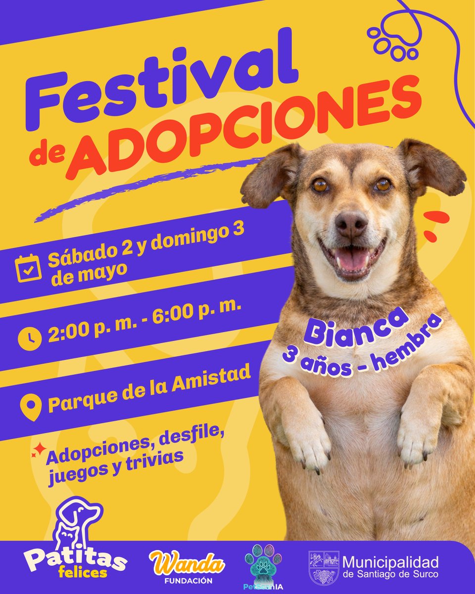 🐾💛 ¡Hoy domingo aún puedes cambiar una historia!
Bianca y más peluditos del albergue te esperan en el Festival de Adopciones buscando un hogar responsable. 🐶✨

📍 Parque de la Amistad
🕑 2:00 p. m. a 6:00 p. m.

#PatitasFelices
#SurcoEstáMejorYSeNota
