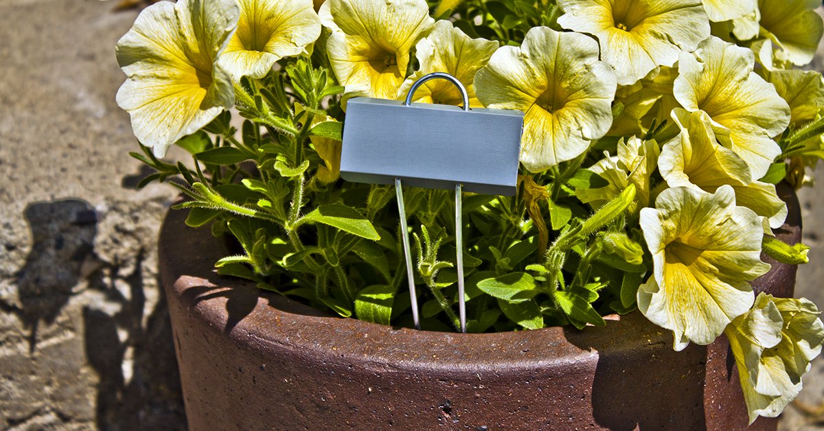 Garden_Markers's tweet image. Flowers in bloom? 🌸 Keep track of your favorites with USA-made metal garden markers! Rust-resistant &amp;amp; weatherproof. Always FREE shipping  👉 metalgardenmarkers.com #FlowerGarden #MadeInUSA #GardenTools #SmallBusiness