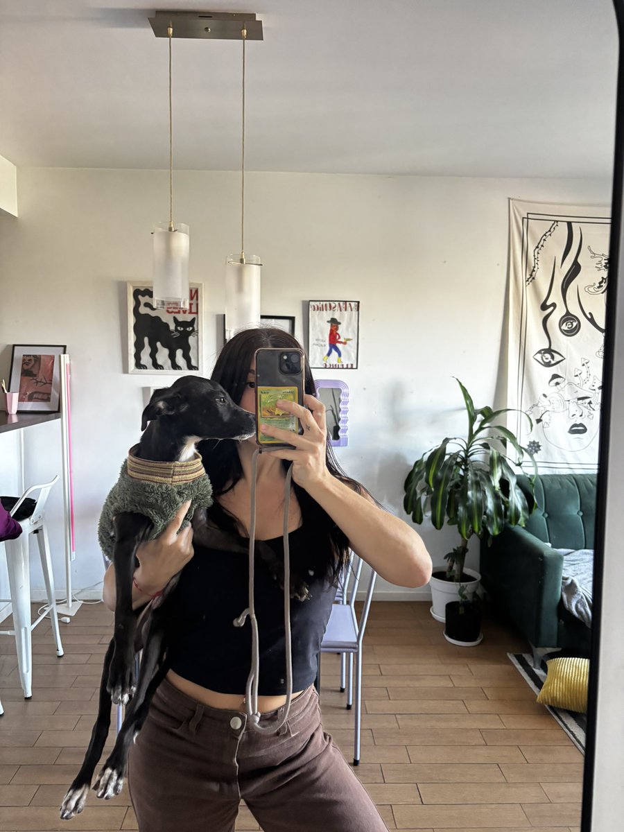 Lupe ya está lista para buscar una familia para siempre 🐶 Tiene 4 meses, está desparasitada, vacunada y despulgada. Está en CABA y se entrega en adopción responsable con compromiso de castración. El contacto soy yo!