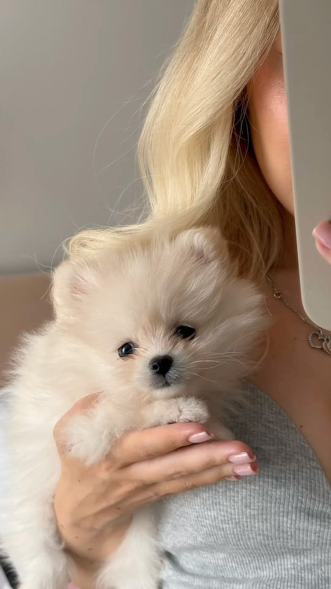 Luna Weiss tweet media