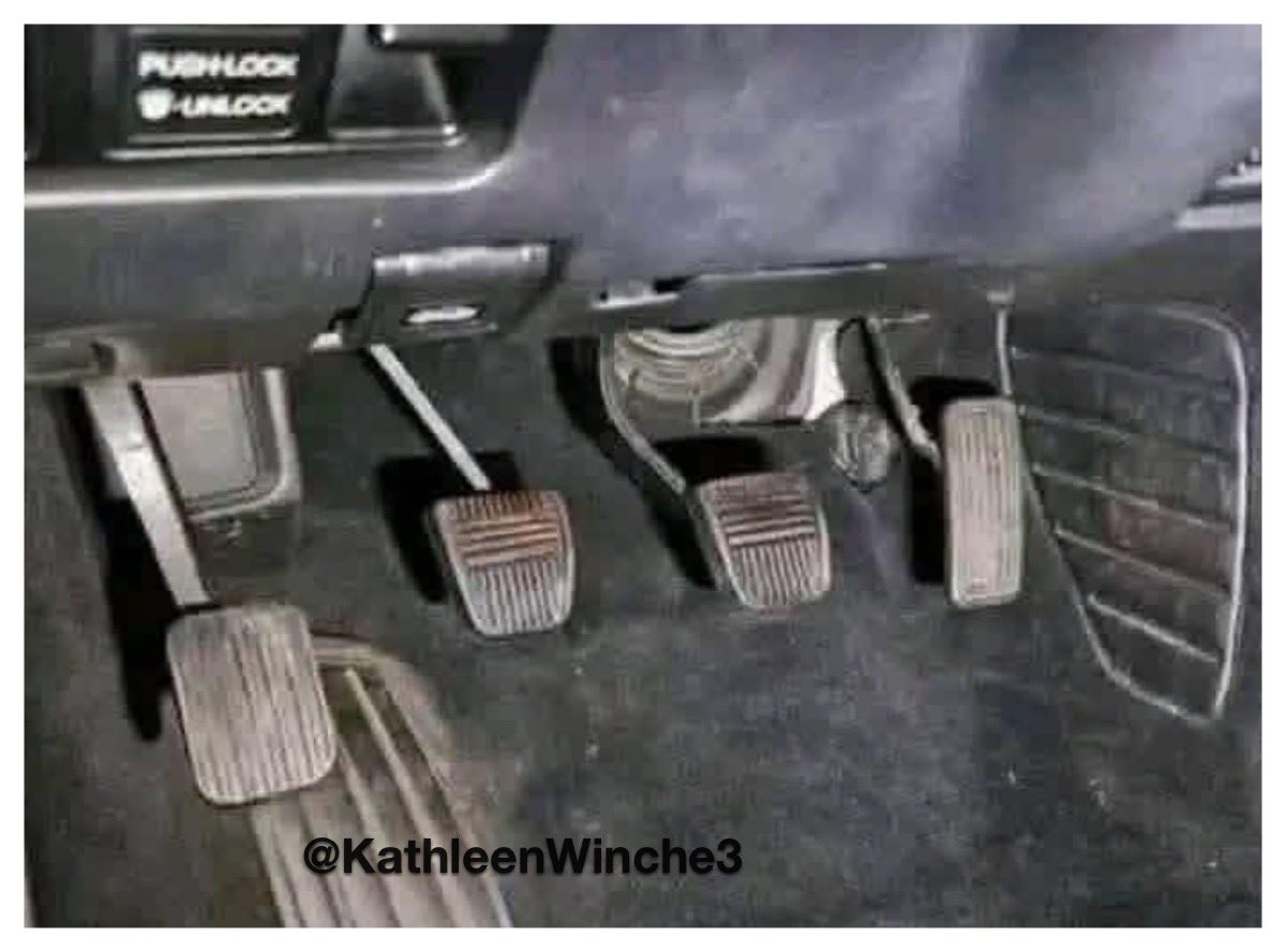 Kathleen Winchell ❤️🤍💙🇺🇸🇺🇸 tweet media