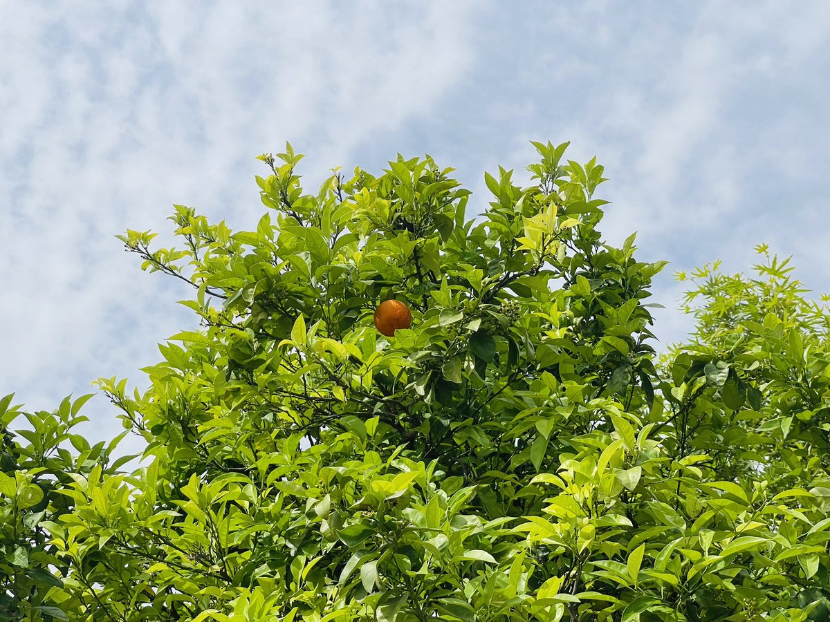 Shabanadawran's tweet image. مخکې له دې چې د بل چا لپاره ښه واوسې، له خپل ځان سره ښه وکړه. ته پخپله د هغه مینې او درناوي تر ټولو زیات مستحق یې، چې له نورو یې تمه لرې. 
✨❤️😍
#SelfLove #ارزښت