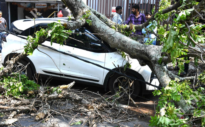 EnglishSalar's tweet image. Heavy Rain caused widespread damage across #Bengaluru, leaving broken electric poles and uprooted trees in Rajajinagar, a school compound wall collapsing at Jnanodaya School, trees torn down in Jayanagar, and a grill crashing at a golf ground on Kumar Park Road, highlighting how