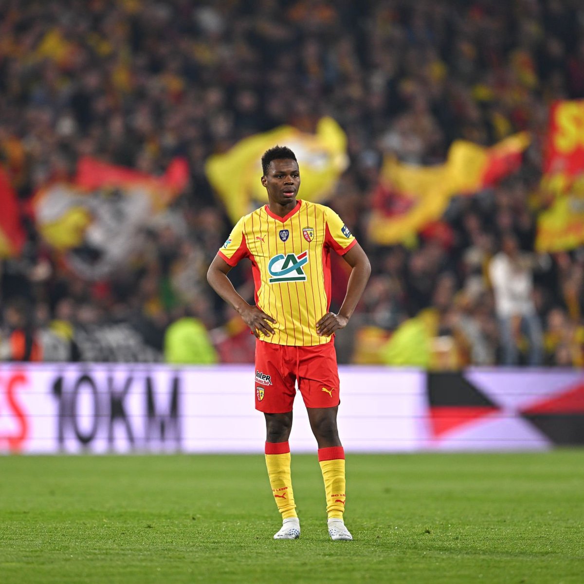 Actu Ligue 1 tweet media