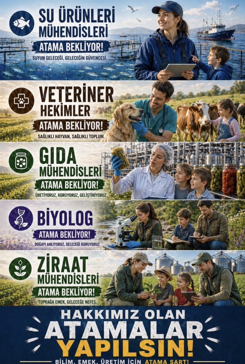Aygül Apaydın tweet media