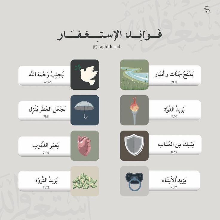 غالية ✨ tweet media