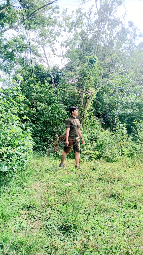 Re09001's tweet image. This is my self and the nature see of my self.🚶🚶🌳🌳🌿🌿🌲🍀

#nature #myself #blog #photoshoot