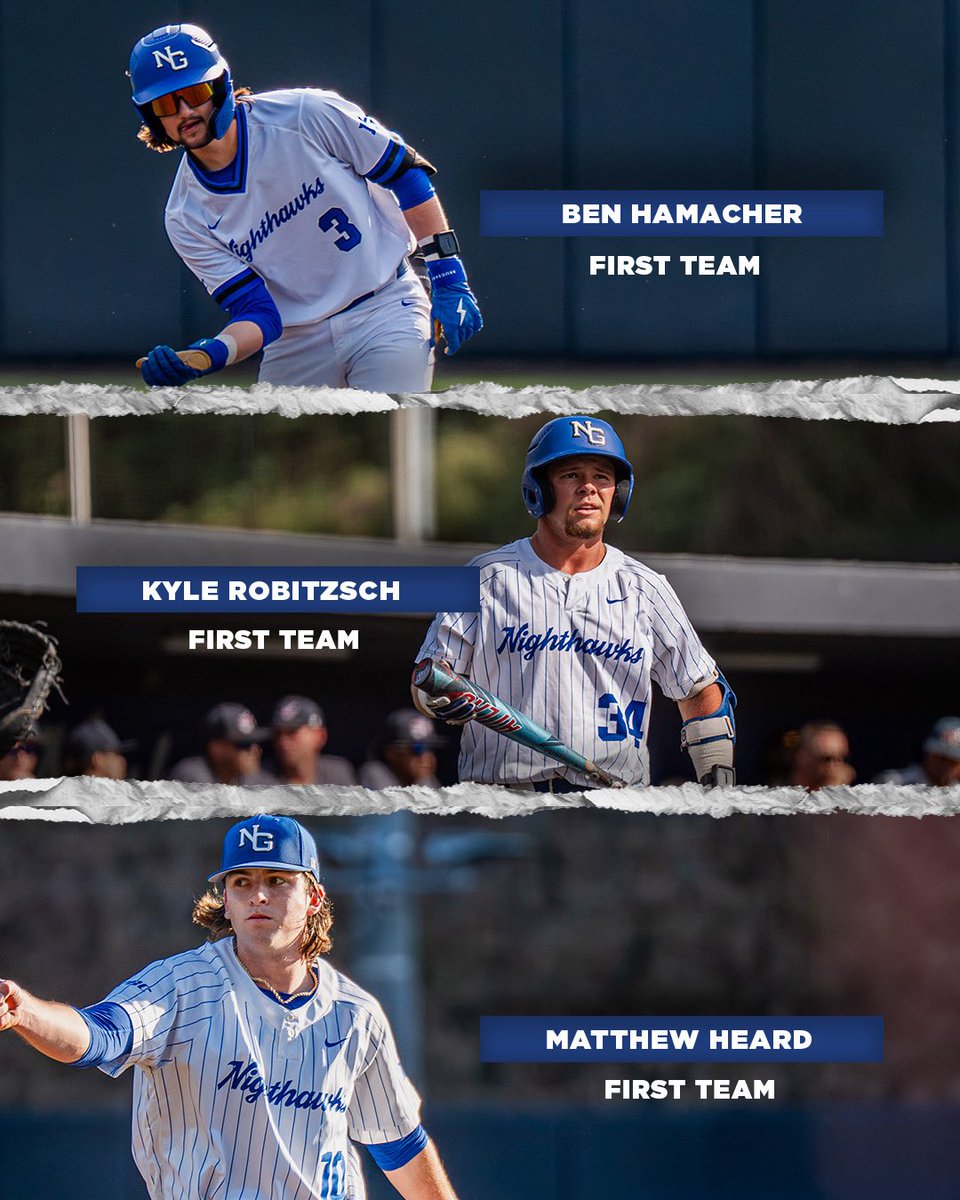 UNG Baseball tweet media