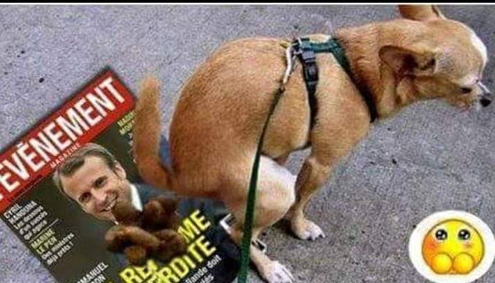 🇨🇵⚓RiM⚓🐕‍🦺 tweet media