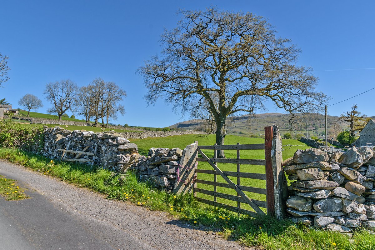YorkshireLass tweet media