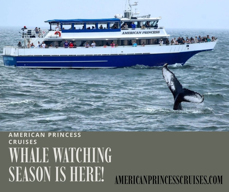 American Princess Cruises tweet media