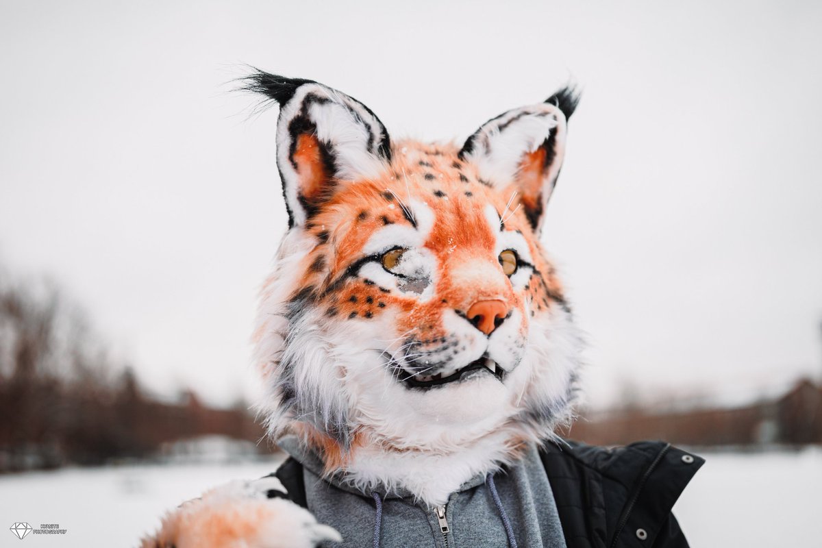 ItsZaltany's tweet image. I'll leave all this snow stuff to the Canadian lynx ^^
It gets EVERYWHERE !

#Fursuit #FursuitEveryday #Lynx
📸 @KyanitePhotos