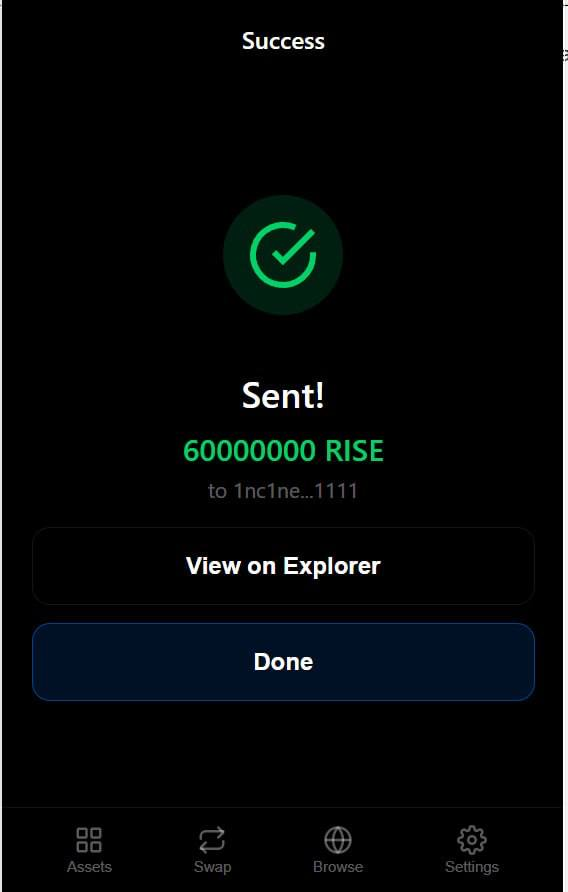 RISE tweet media