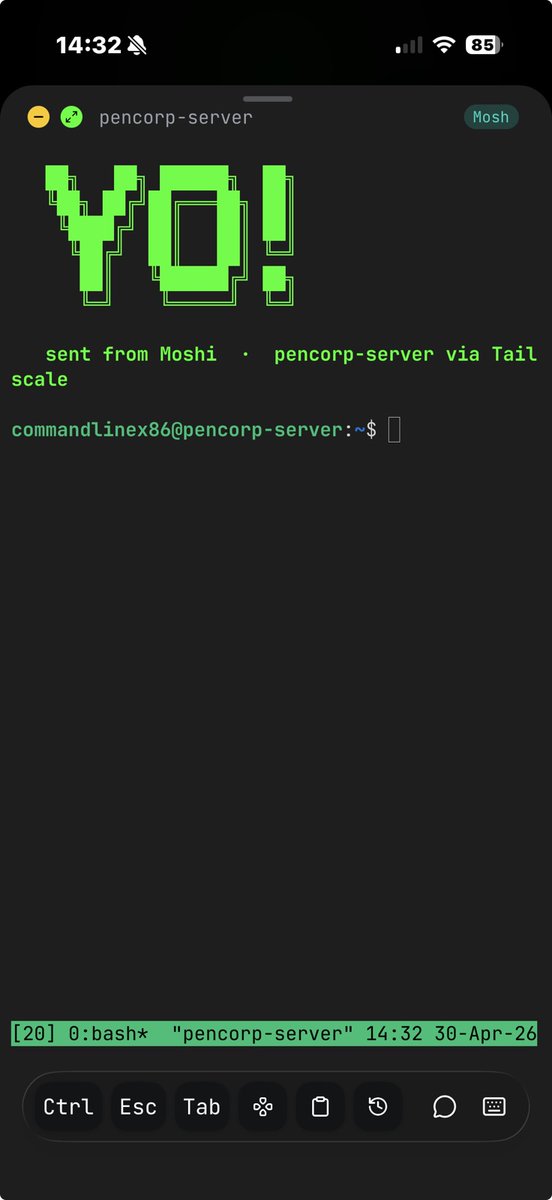 commandlinex86 tweet media