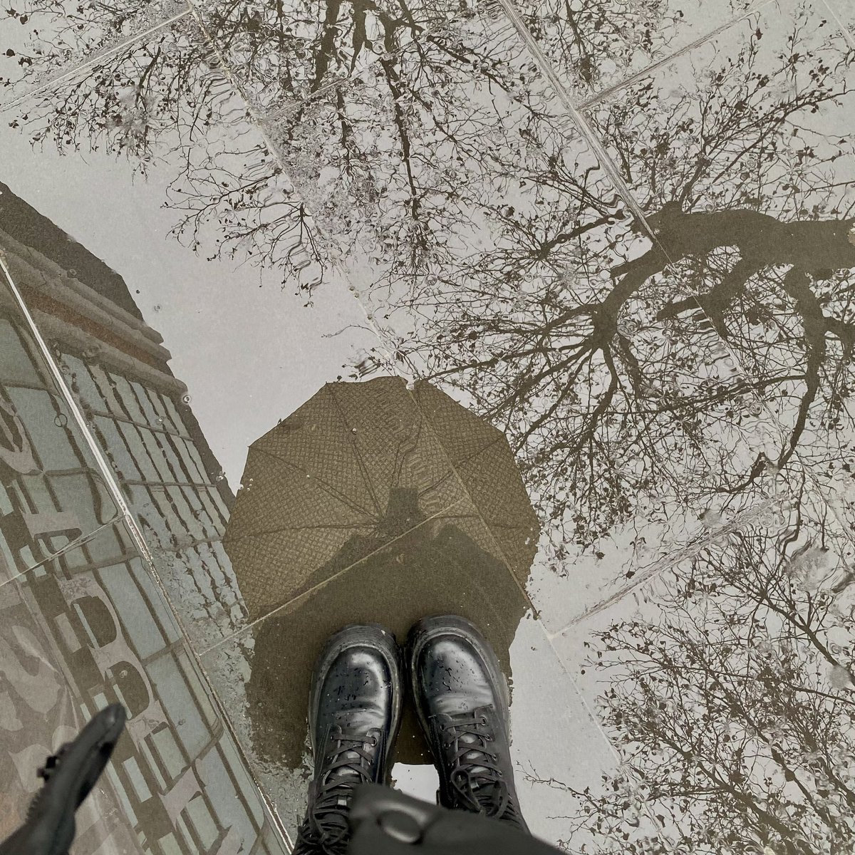 ascrtbny's tweet image. #rain #rainydays