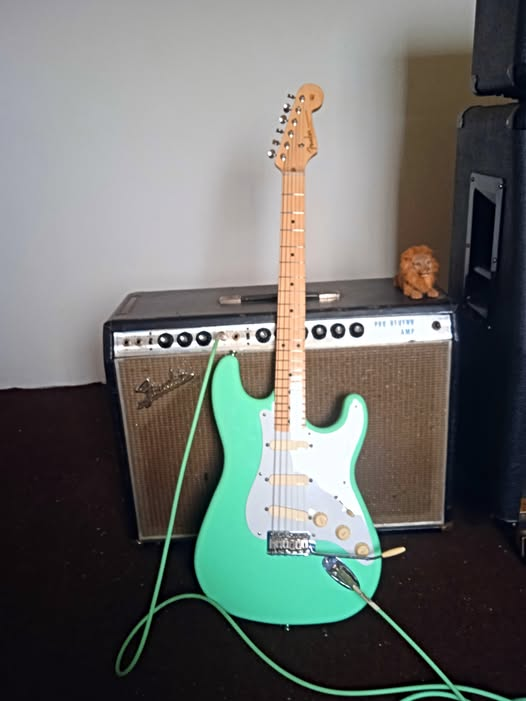 Rmlc63's tweet image. NGD
Sea Foam Green Fender Stratocaster 57 Model loaded with EMG DG 20 pickups
#Guitarist #Guitarplayer #Blues #rocknroll #Guitars #LifeStyle
#iLoveThisJob #Fender #Stratocaster #PreCBS #FenderAmps #StrangeBeautifulAndLoud #LiveForMusic #PlayItLoud #MusicMatters #StratPassion #EMG