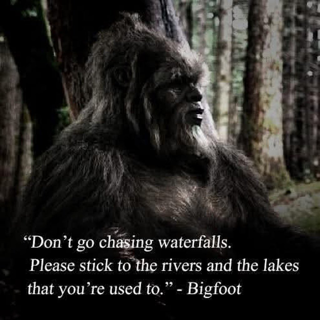 DarinRMcClure's tweet image. #Bigfoot