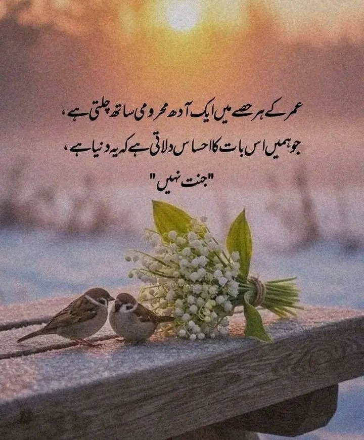 🌸🌷prisa🌷🌸 tweet media