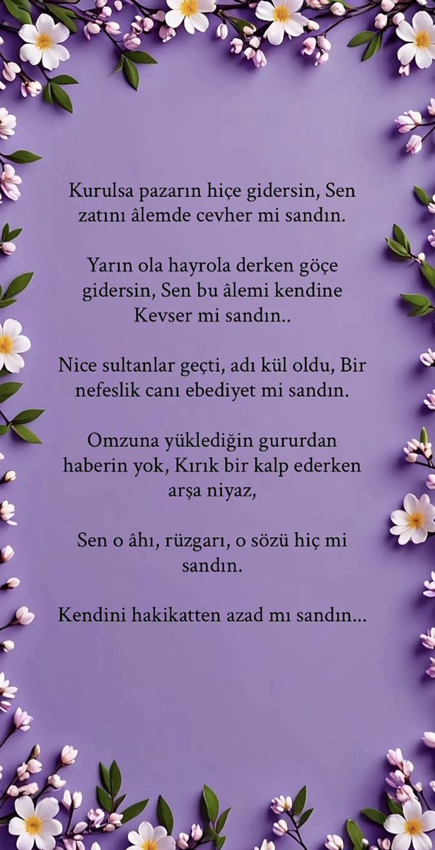 Fattih Kayya tweet media