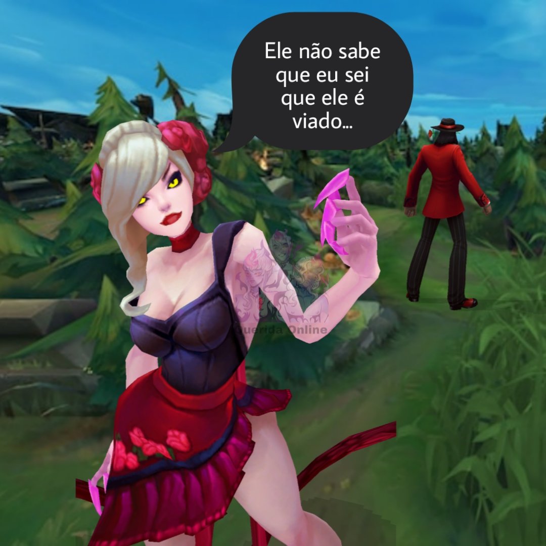 Querida Online tweet media
