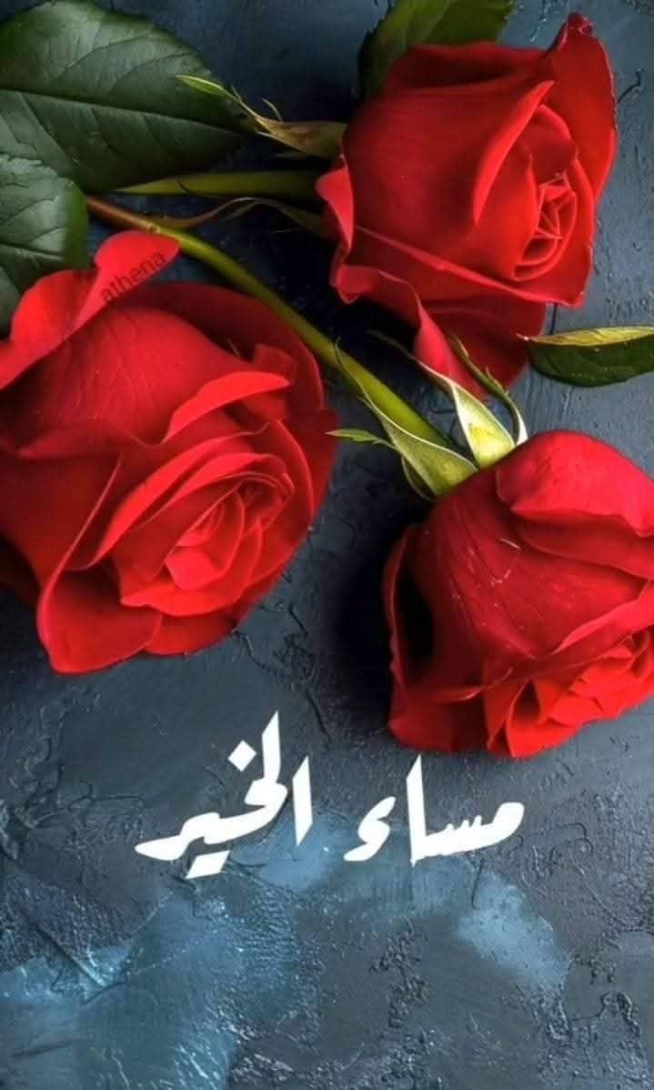 💎ملكة الألمااااس 👑 S💖✨ tweet media