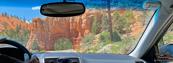 SavorMomentPhot's tweet image. Driving along #ZionParkScenicByway, entering #ZionNationalPark from the east.
#travelblog #travelphotography #Utah #RoadTrip 
savorthemomentphotography.com/driving-zion-p…