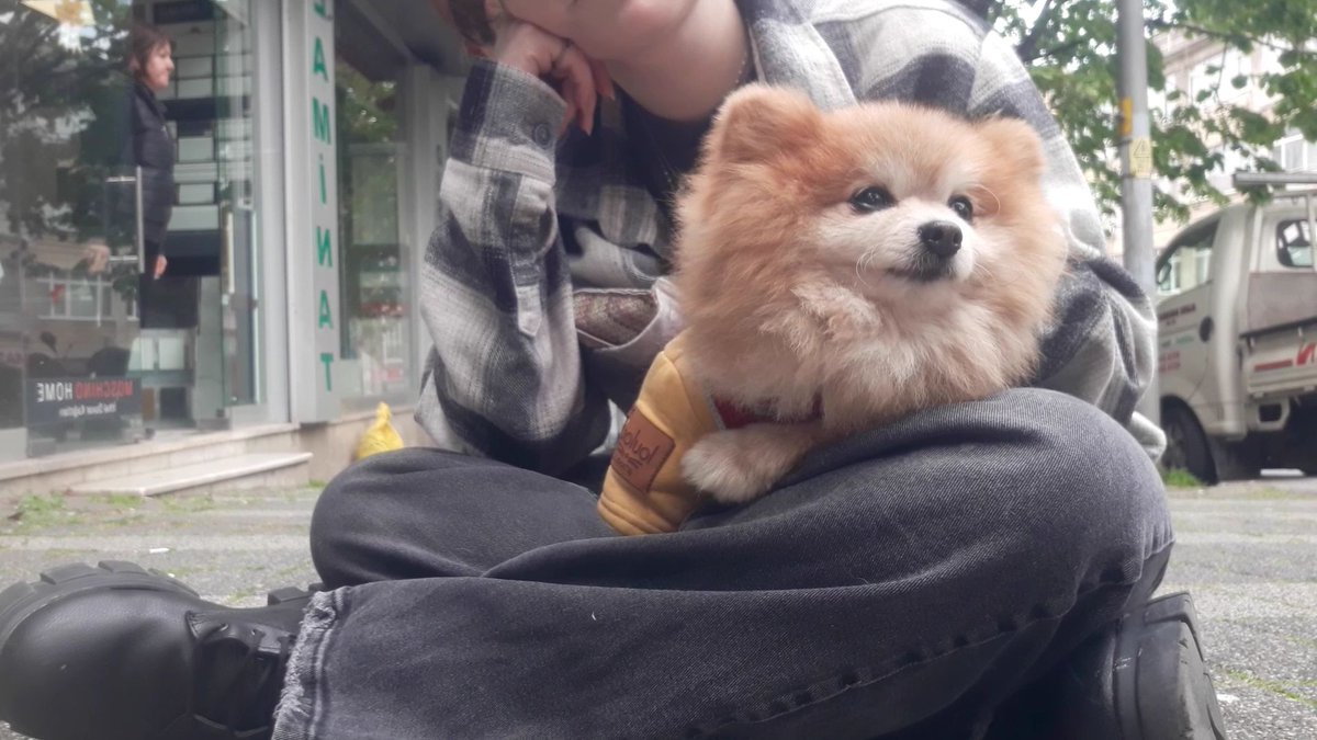 rai' 🎗 yeni hesap tweet media