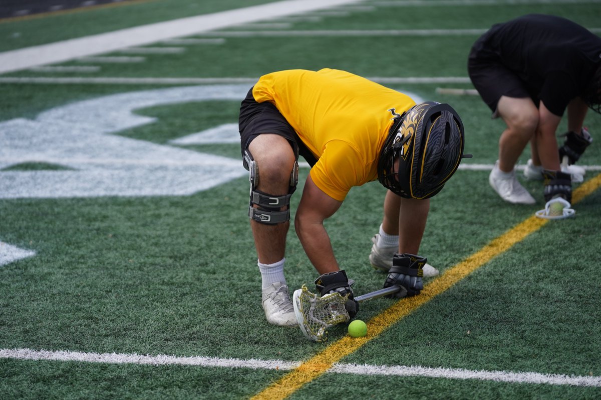 Towson_MLAX's tweet image. Get ready.
#GohTigers | #ACT