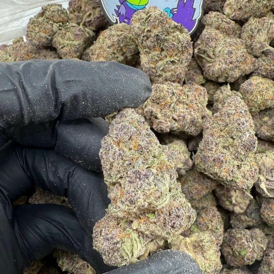 Columbiaweed's tweet image. Hialeah and Miramar! 🔥🌿 Blazing weed, zaza, gas, loud, bud, kush, fire, exotic pack, herb, trees, dank 💨 Roll up for 420 sesh! Who's lit in Hialeah and Miramar? Drop your spot 📍👇 #Hialeah #Miramar #Florida420 #ZazaSeason #GasOnly