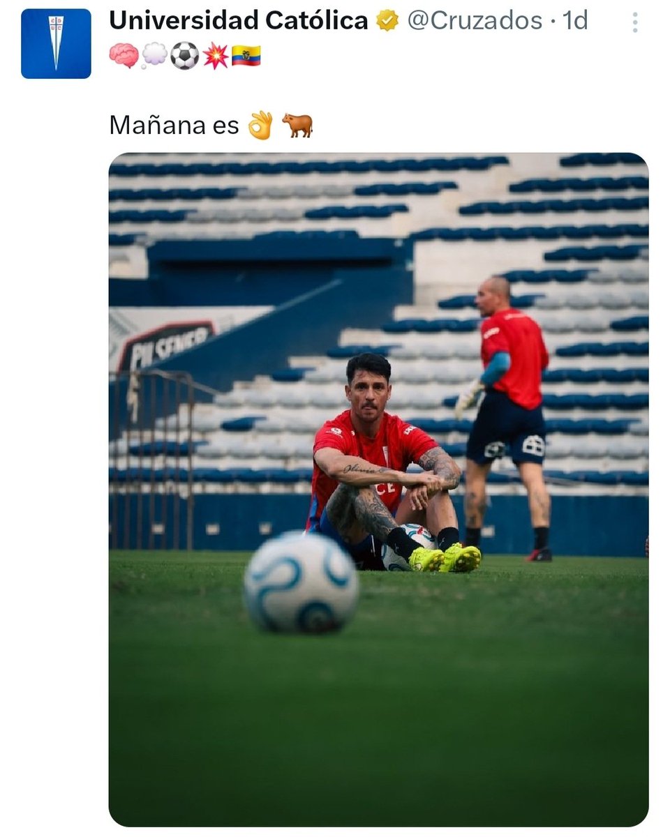 Universidad Católica tweet media