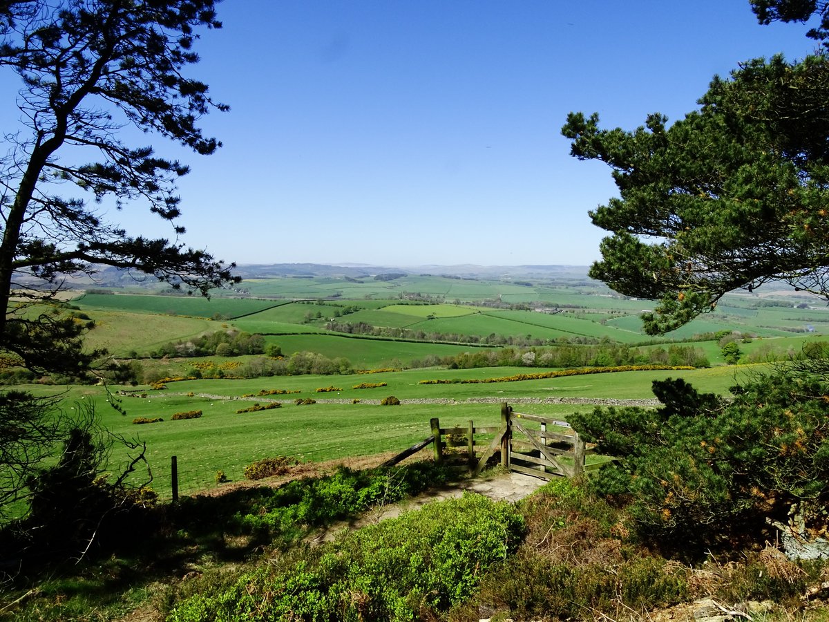 jac61941964's tweet image. Beautiful Rothbury and the surrounding Northumberland countryside.
#Northumberland 
#Rothbury
