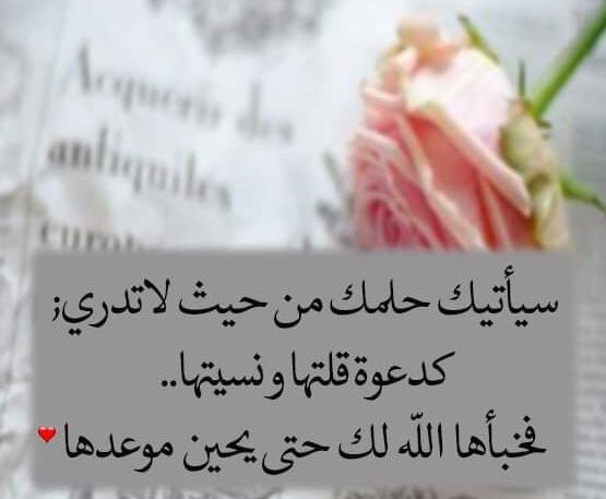 🦋إڼسَګابـ عَطڔ🫰🏻 ℒ𝒪ℒ𝒪 🦋 tweet media
