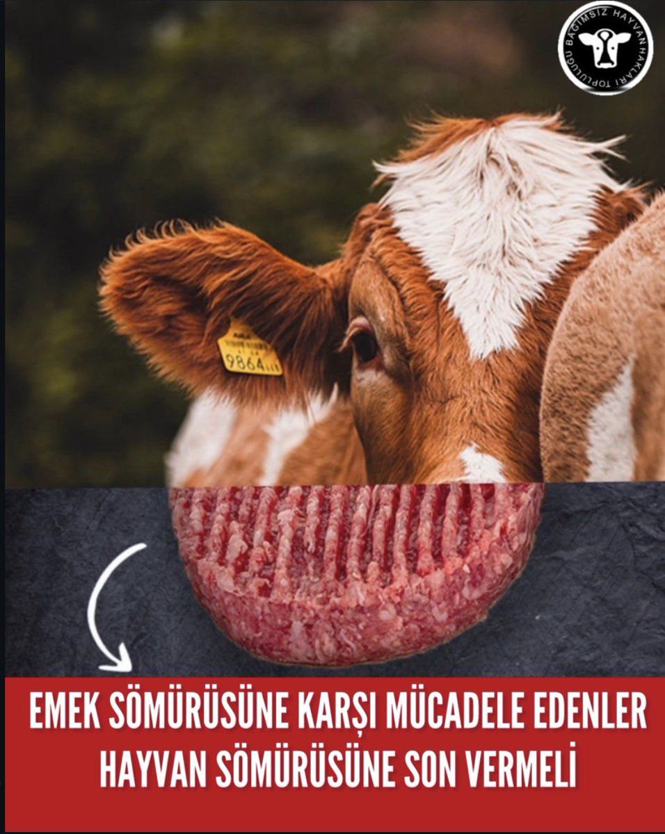 İNSAN YA DA İNSAN DIŞI HAYVAN, KİME YAPILIRSA YAPILSIN SÖMÜRÜYE, ZULME KARŞIYIZ. EMEK SÖMÜRÜSÜNE KARŞI MÜCADELE EDENLER, HAYVAN SÖMÜRÜSÜNE DE SON VERMELİ. 

#veganol #hayvanözgürlüğü #yaşamhakkı #1mayıs #sömürüyehayır