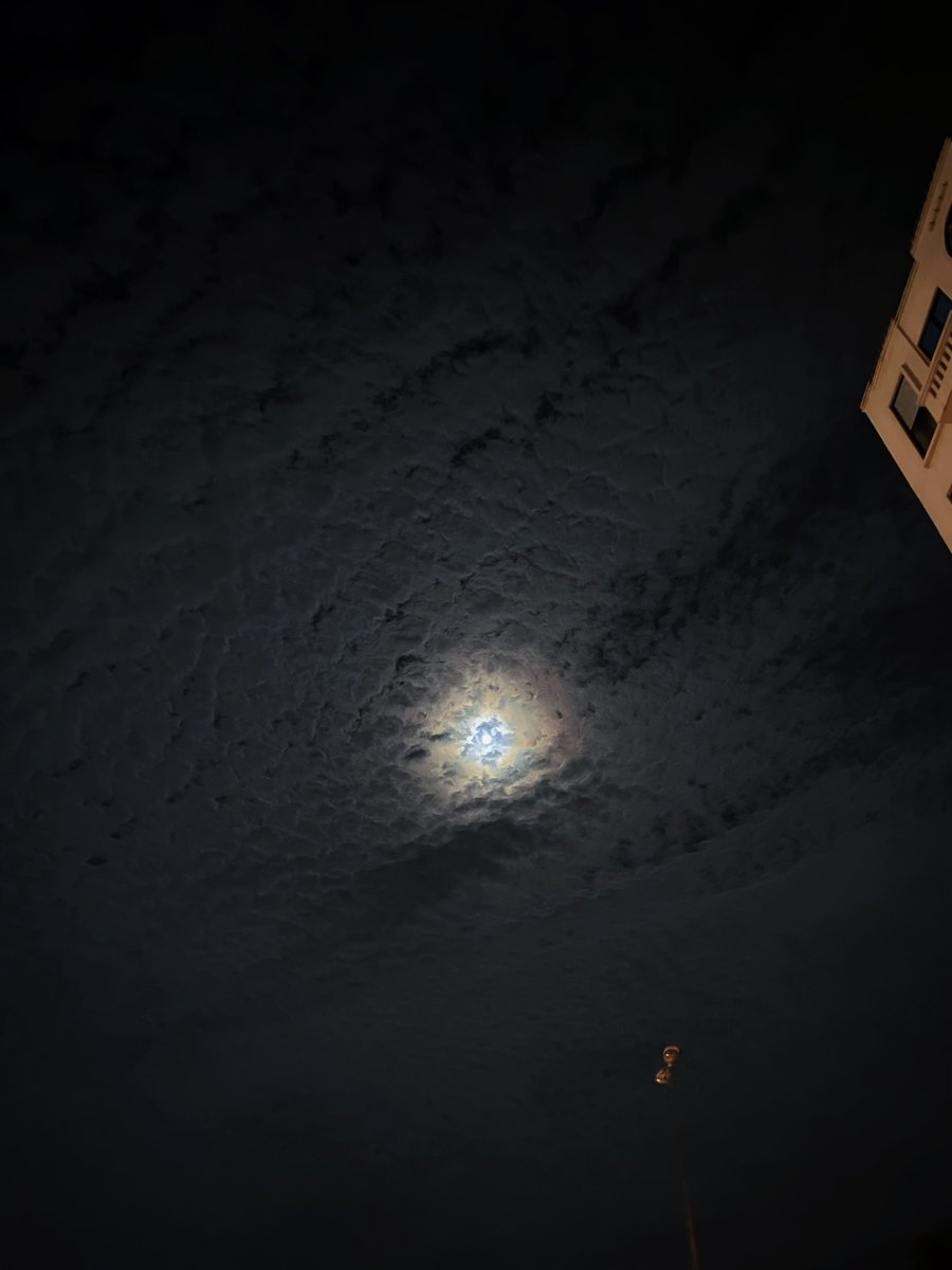 Finn tweet media