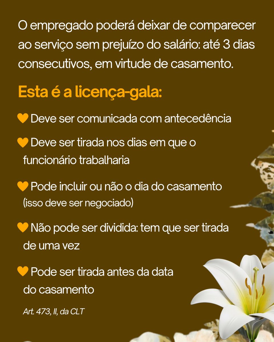 Senado Federal tweet media
