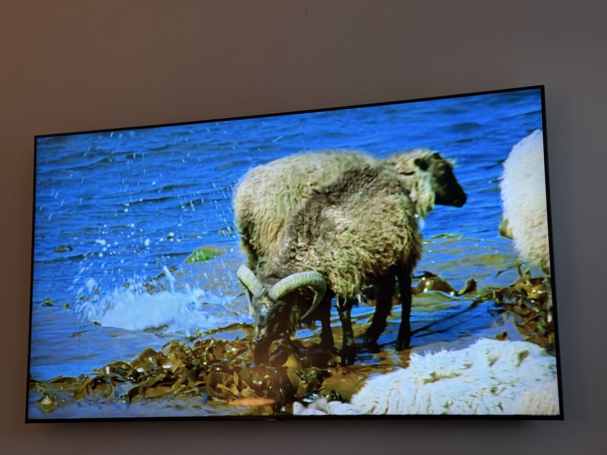 richardjacobs1's tweet photo. Feed from the Crucible (World Snooker Semi Finals) down.  They’re now showing a nature programme.  

Proper old skool BBC this! https://t.co/5w226TtuhI
