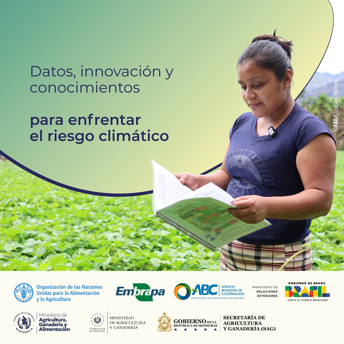 FAOMesoamerica's tweet photo. 📊 En dos años de proyecto #ZARC:

🗺️ +190 mapas de riesgo climático creados
🌱 120 parcelas pilotos validadas en 30 municipios.
🎓 Más de 130 técnicos capacitados en talleres, webinars. https://t.co/g8bKz4PkWG