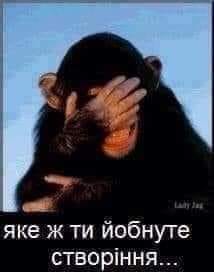 PARAZIT⚠ tweet media