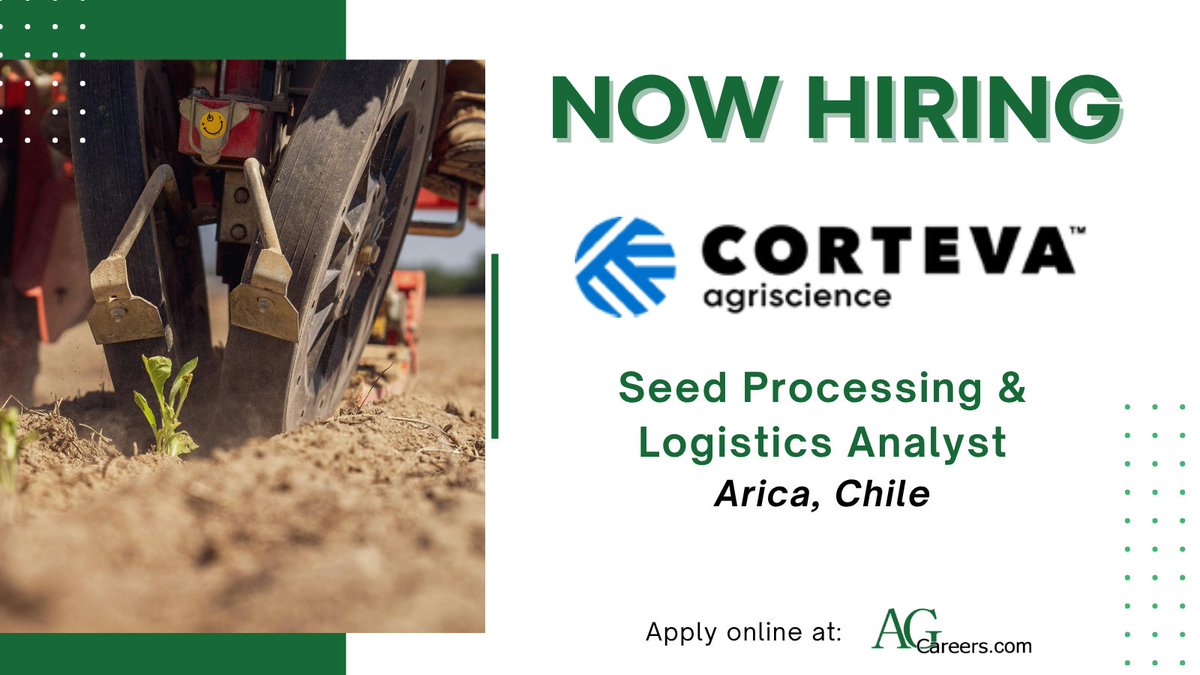 AgCareers's tweet image. .@corteva is #HIRING a Seed Processing &amp;amp; Logistics Analyst in Arica, Chile!

In this role you will grow your seed processing and operations leadership skills by coordinating research projects.

Submit your application today on #AgCareers: 
ow.ly/Y18f50YQnAf
