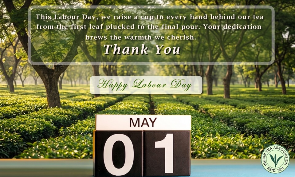 Indiantea1881's tweet photo. ITA salutes the dedication and efforts of the workforce of Tea Industry on #MayDay. 
#InternationalWorkersDay, https://t.co/5Davwanp6Z