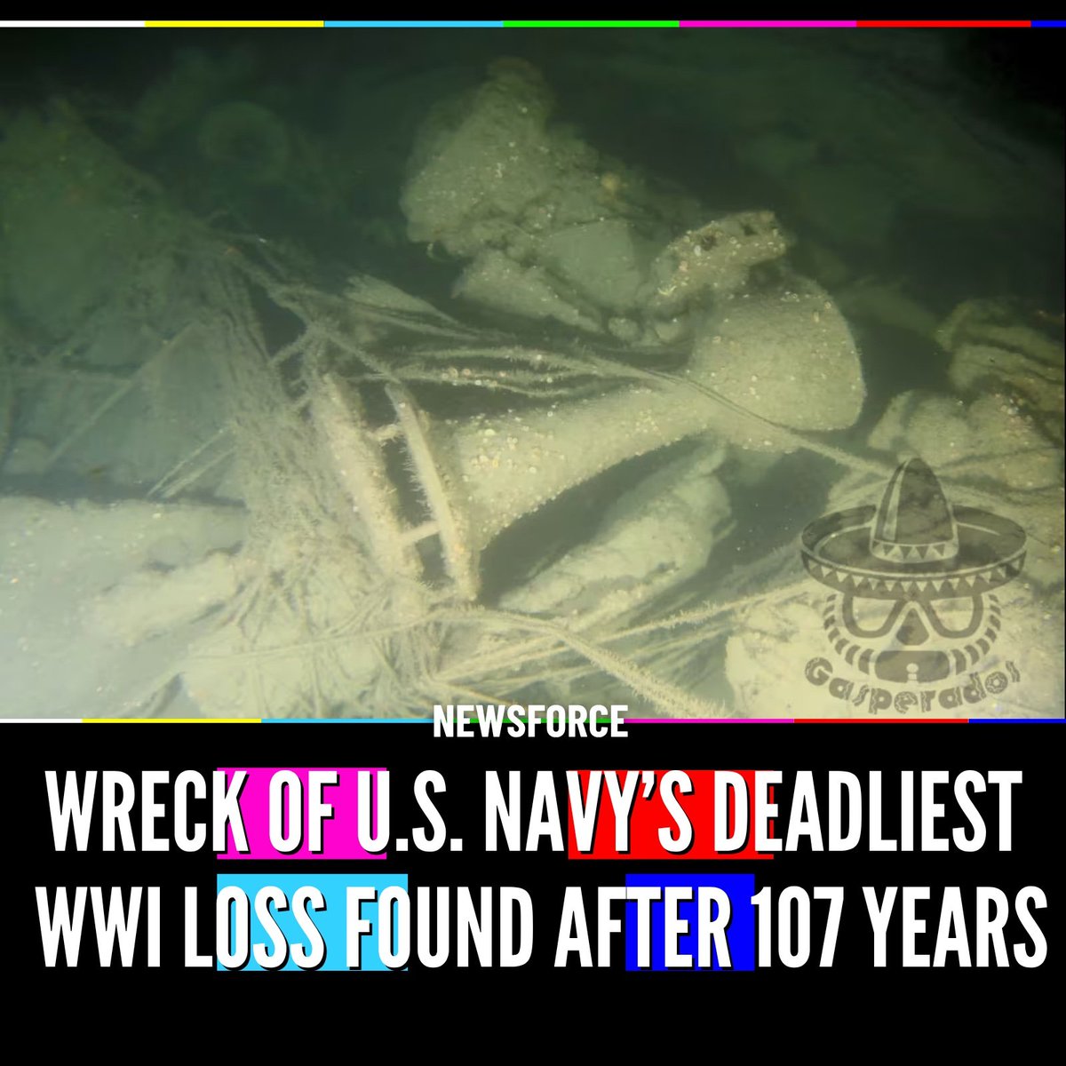 NewsForce tweet media