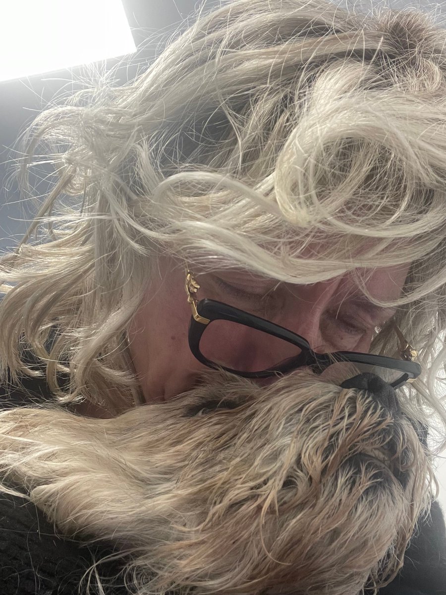 DiaryAlfred's tweet image. After a truly pawfect adventuring day I have to tell you that at 7.15pm this evening I have crossed rainbow bridge and am now no longer battling this hideous cancer. Thank you for being the greatest pals not only to me but my totally heartbroken Tina and Lee 💔