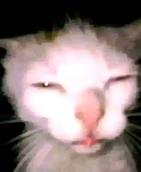 Takebek1's tweet photo. @DesturbioMental Pra facilitar na hora q ele resolver meter a mão https://t.co/OzlWrXW2MW
