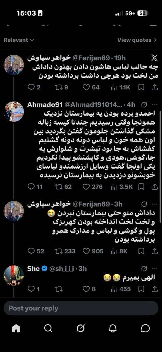 نیلوسی tweet media