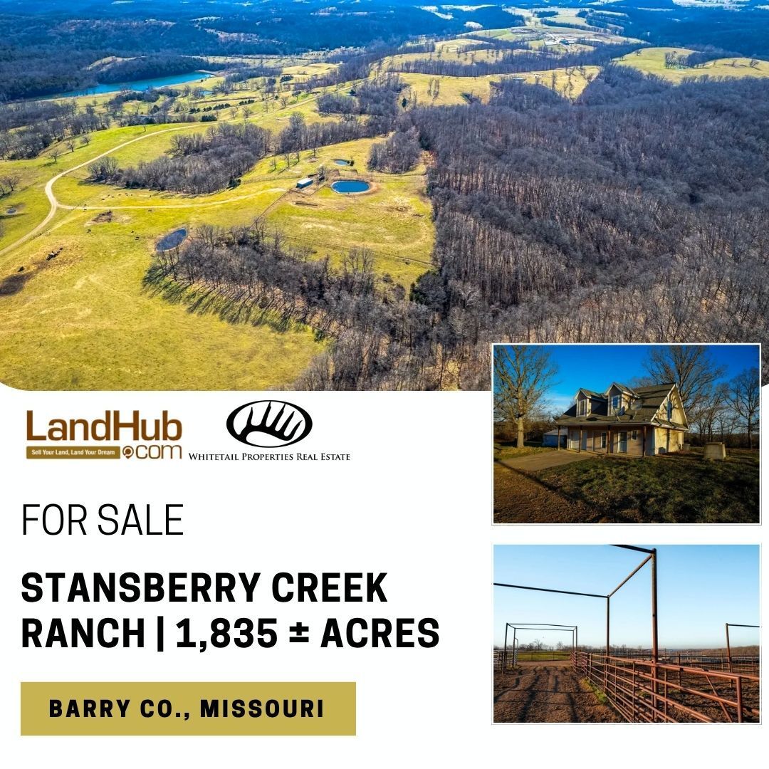 landhub's tweet image. Elite Ranch Opportunity in Southern Missouri 
Stansberry Creek Ranch — a rare chance to own 1,835± contiguous acres of premier cattle and recreational land.
LEARN MORE 👉 buff.ly/cuhsGn3 
#huntingland #cattleranch #ranch #fishingland #mountainland #timberland