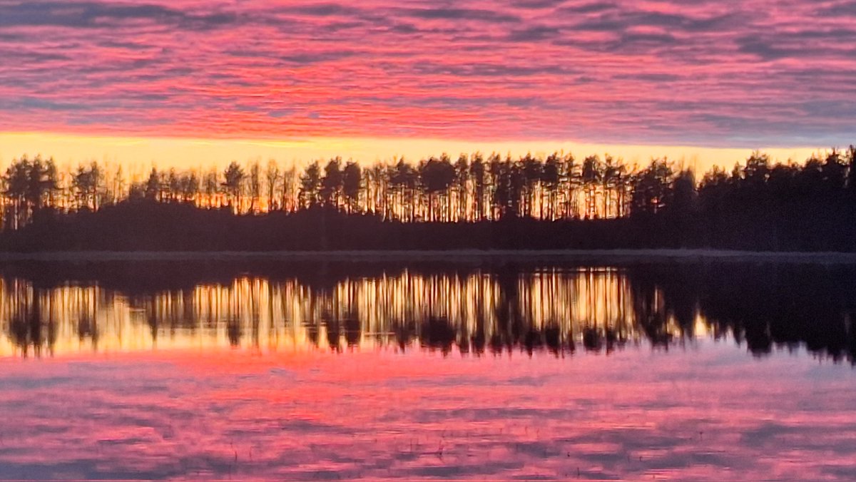PHatunen's tweet image. Hienot värit auringon laskettua 30.4.2026 Oulujoella Vaalanlammella ..#sunset #Oulujoki #Finland #Vaala