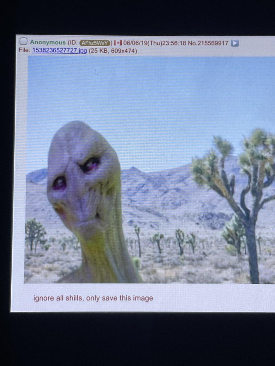 UFO mania tweet media